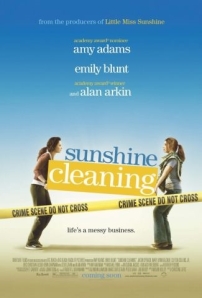 sunshinecleaningposter